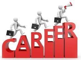 Career Transition Support